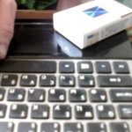 Live fun with Alenalya